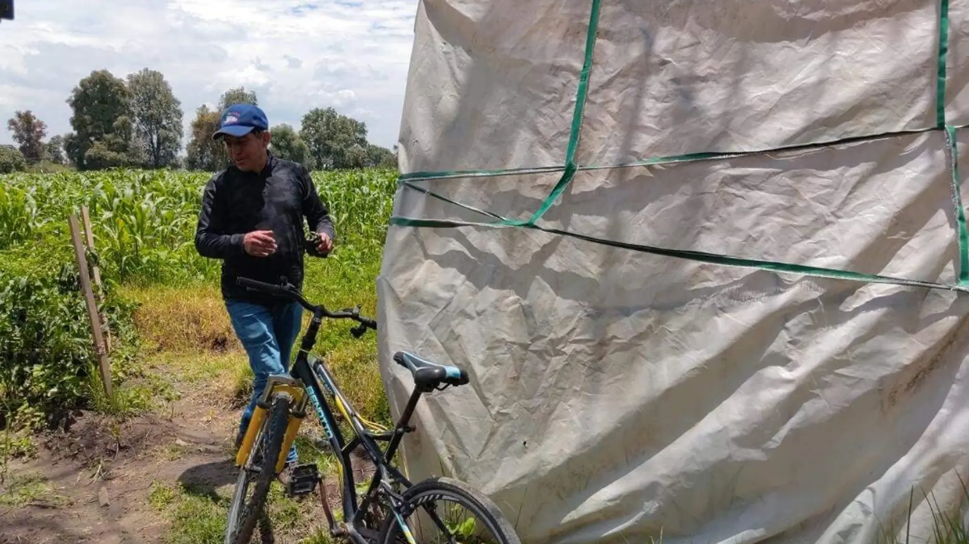 colocan jacales en Tlanapala para resguardar chilares contra robo